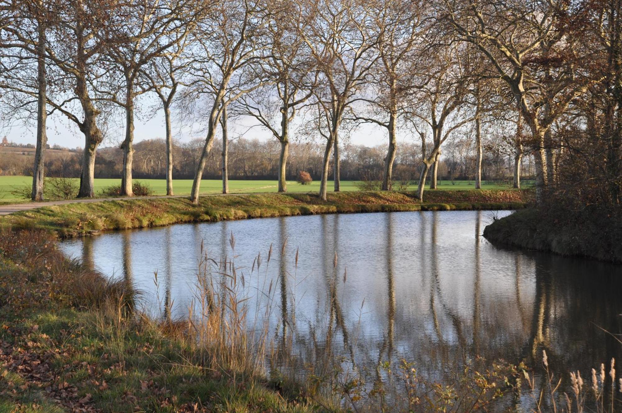 Domaine De Hurlevent Montgaillard-Lauragais ภายนอก รูปภาพ